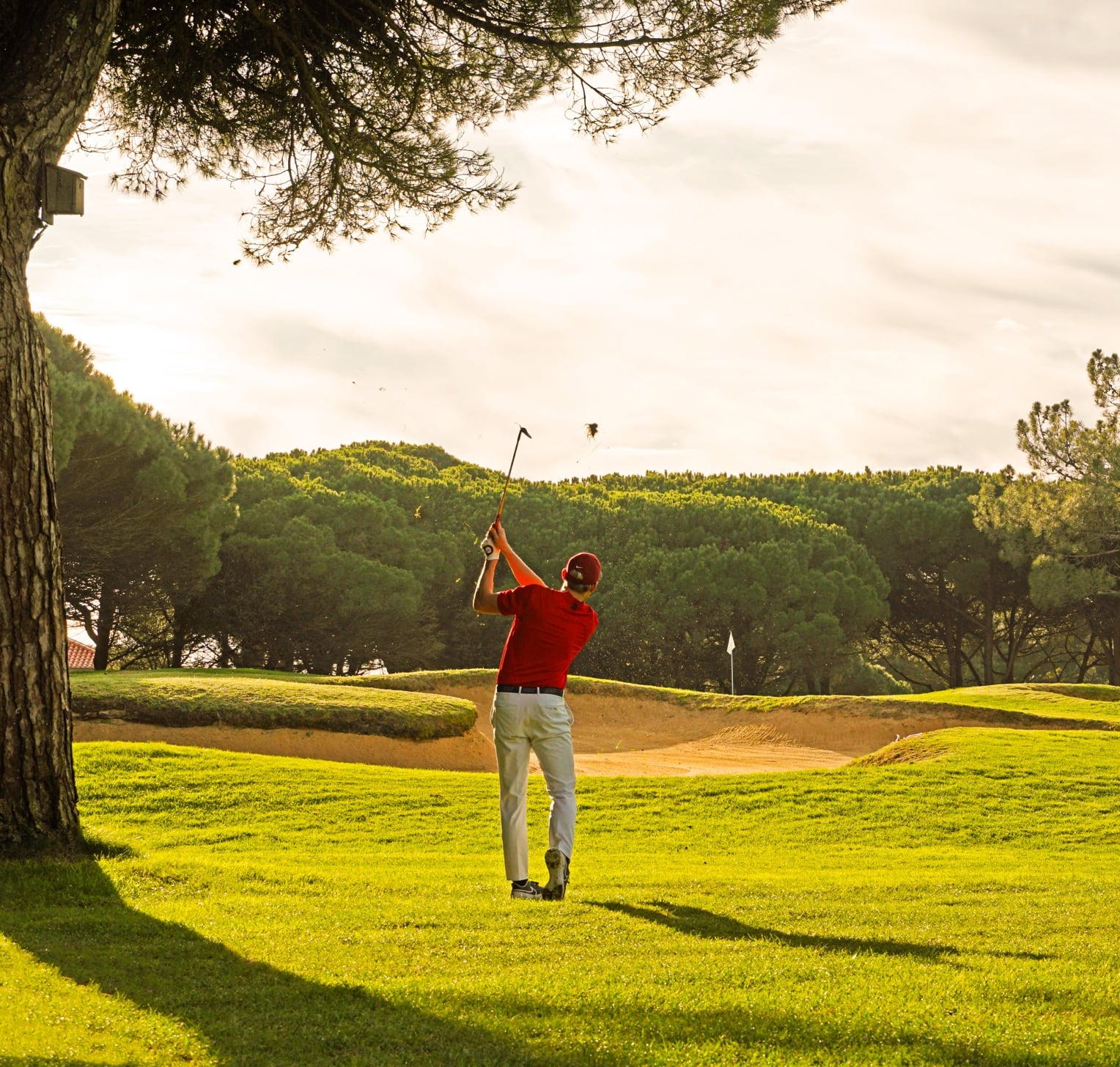 Person Playing Golf